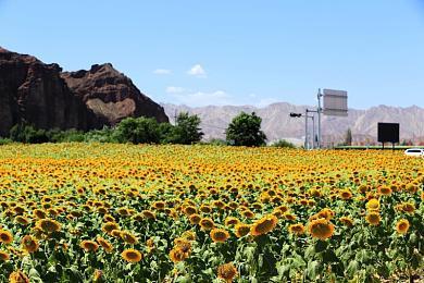 数毛社：PS5 Pro光追不具变革性 但光谱超级分辨率很强